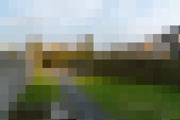 Iepenlaan 9 Dokkum thumbnail 38