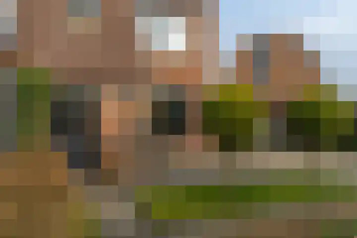 Iepenlaan 9 Dokkum thumbnail 39