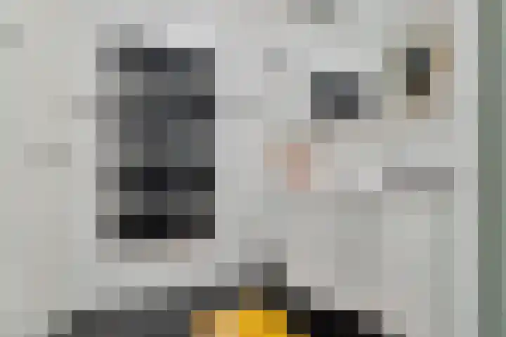Iepenlaan 9 Nieuwe Pekela thumbnail 18