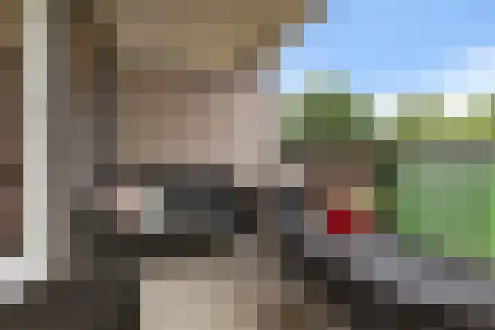 Iepenlaan 9 Nieuwe Pekela foto 2