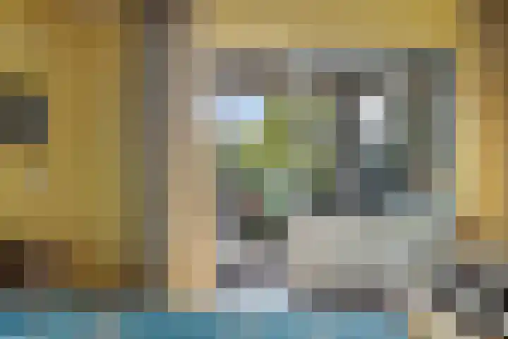 Iepenlaan 9 Nieuwe Pekela thumbnail 20