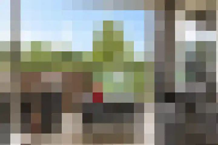 Iepenlaan 9 Nieuwe Pekela thumbnail 21