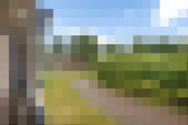 Iepenlaan 9 Nieuwe Pekela thumbnail 23