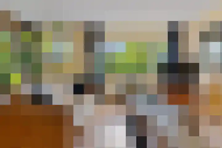 Iepenlaan 9 Nieuwe Pekela thumbnail 25