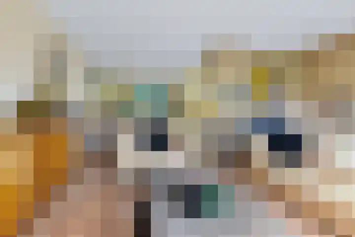 Iepenlaan 9 Nieuwe Pekela thumbnail 27