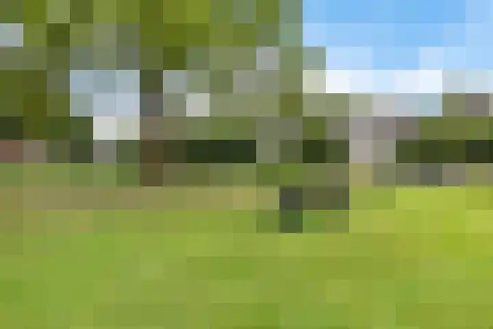 Iepenlaan 9 Nieuwe Pekela foto 3