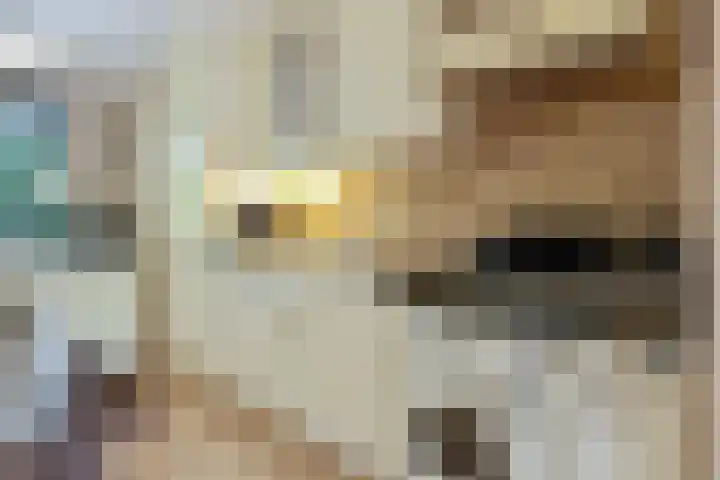 Iepenlaan 9 Nieuwe Pekela thumbnail 32