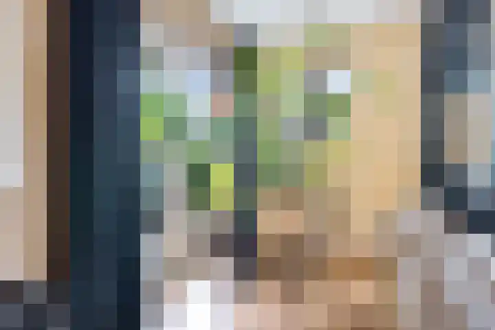 Iepenlaan 9 Nieuwe Pekela thumbnail 33
