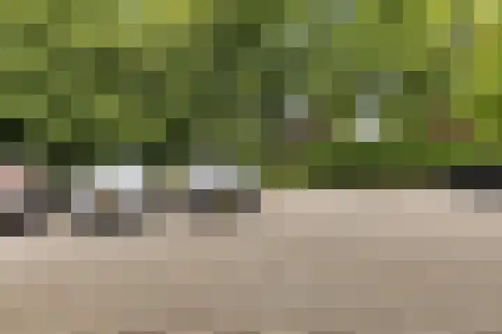 Iepenlaan 9 Nieuwe Pekela thumbnail 37