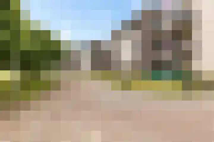 Iepenlaan 9 Nieuwe Pekela thumbnail 5