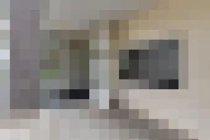 Iepenlaan 9 Nieuwe Pekela thumbnail 6