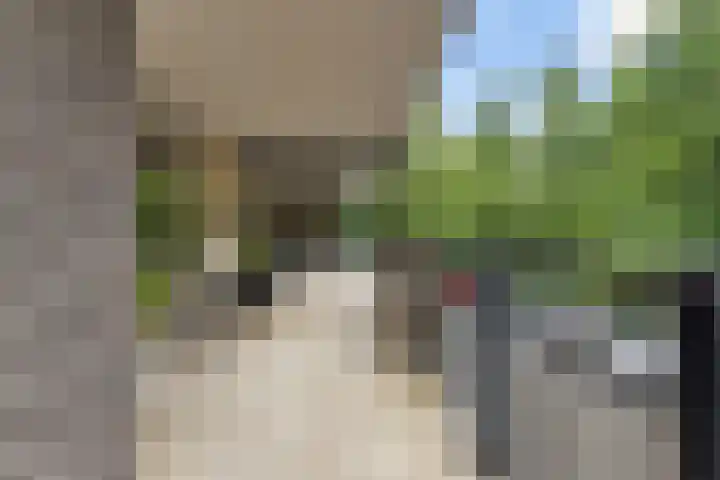 Iepenlaan 9 Nieuwe Pekela thumbnail 8