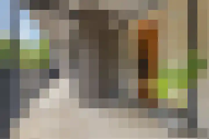 Iepenlaan 9 Nieuwe Pekela thumbnail 9