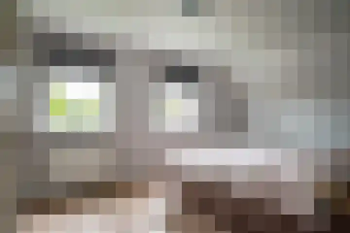 Iepenlaan 9 Rouveen thumbnail 19