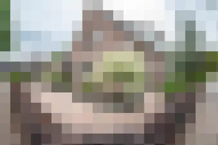Iepenlaan 9 Rouveen foto 2