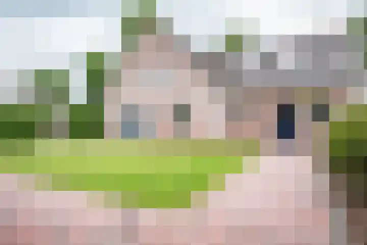 Iepenlaan 9 Rouveen thumbnail 24