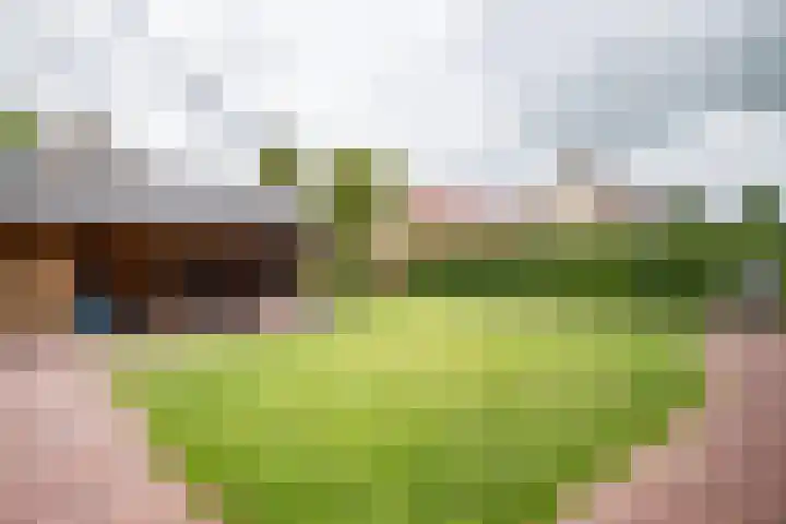 Iepenlaan 9 Rouveen thumbnail 25