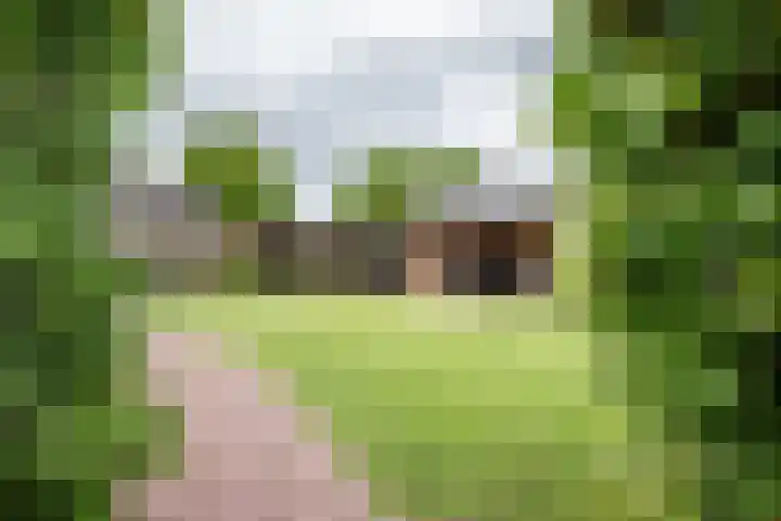 Iepenlaan 9 Rouveen thumbnail 27