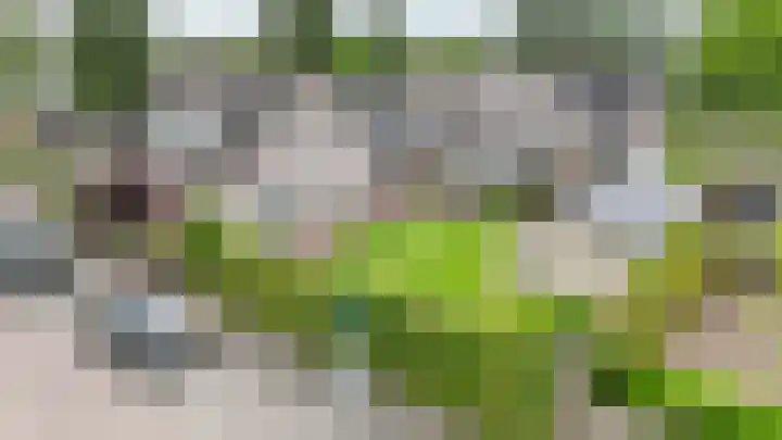 Iepenlaan 9 Rouveen thumbnail 28