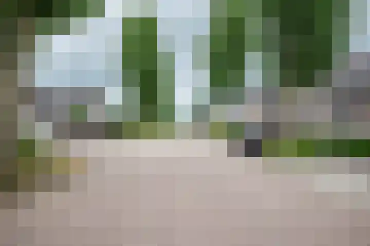 Iepenlaan 9 Rouveen thumbnail 29