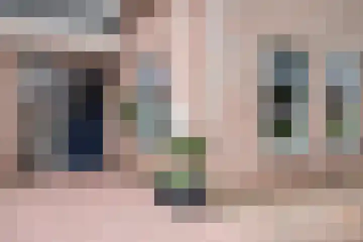 Iepenlaan 9 Rouveen foto 3