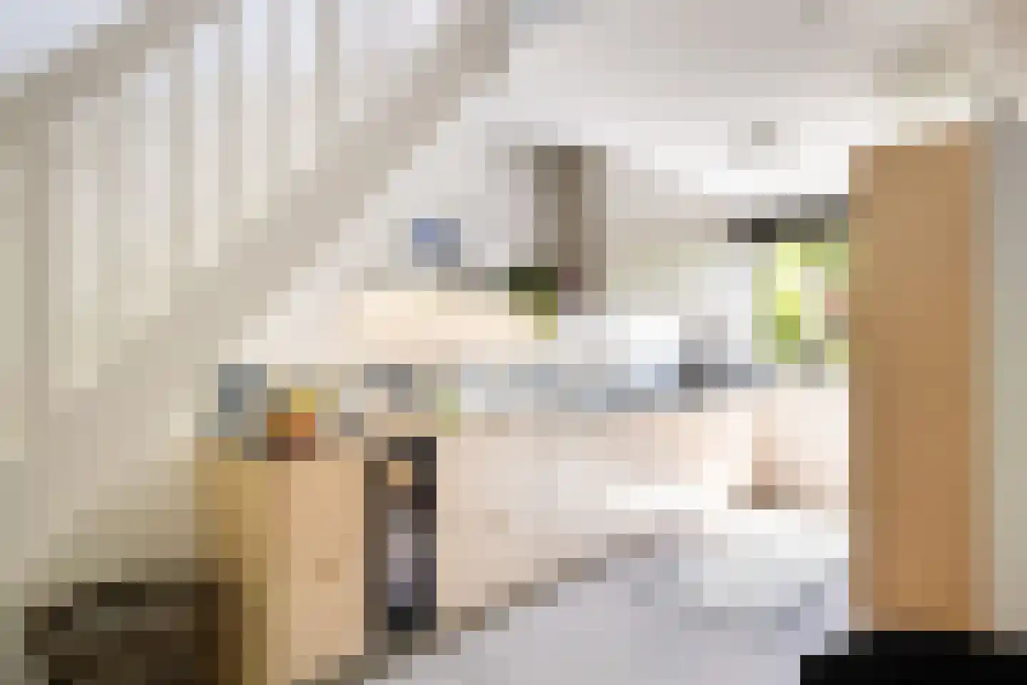 Iepenlaan 95 Bilthoven thumbnail 14