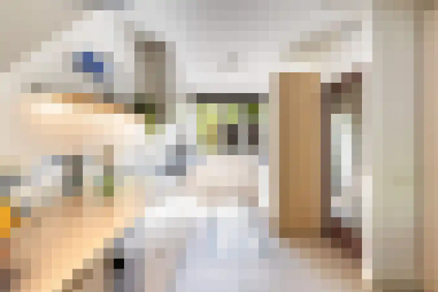 Iepenlaan 95 Bilthoven thumbnail 17