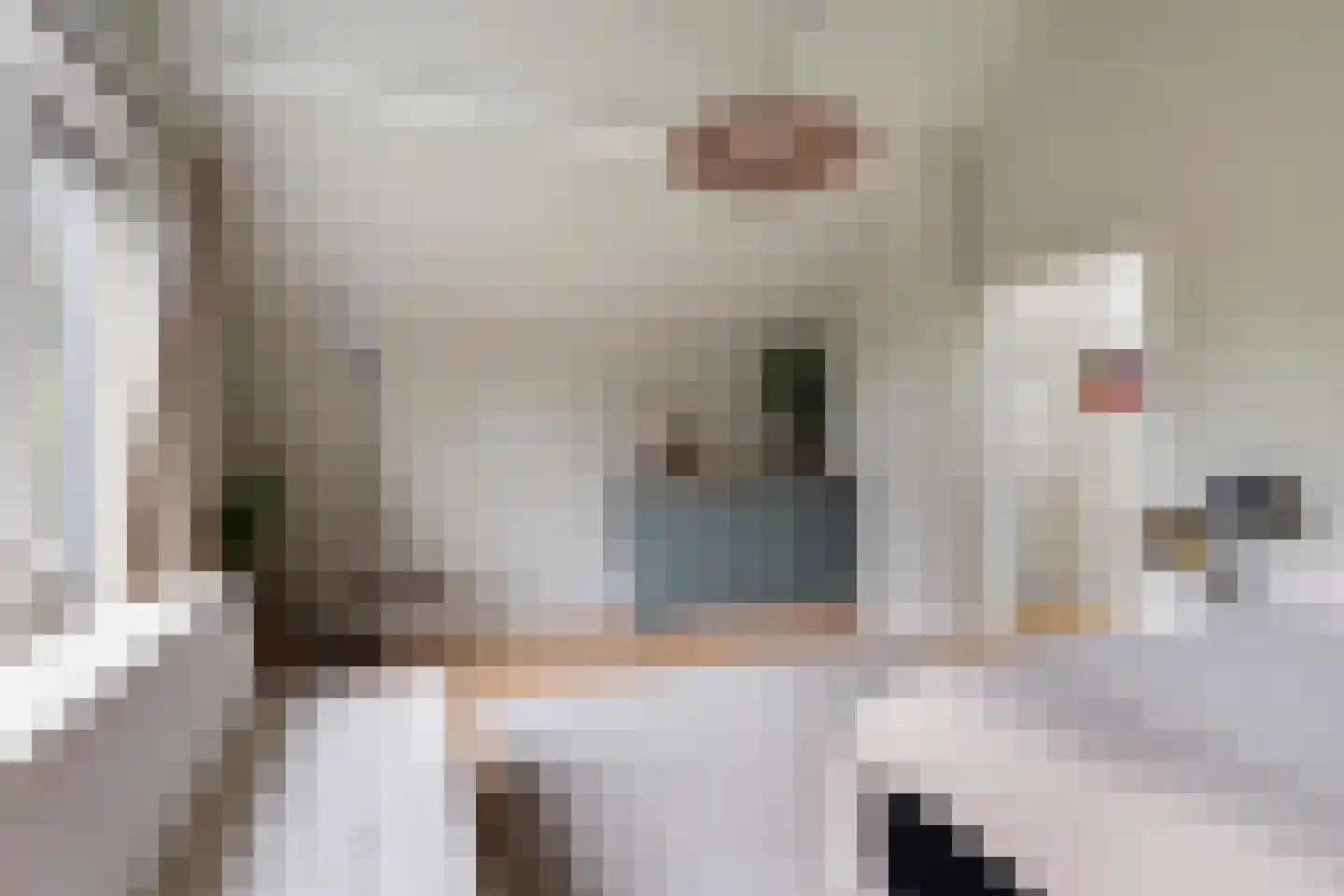 Iepenlaan 95 Bilthoven thumbnail 33