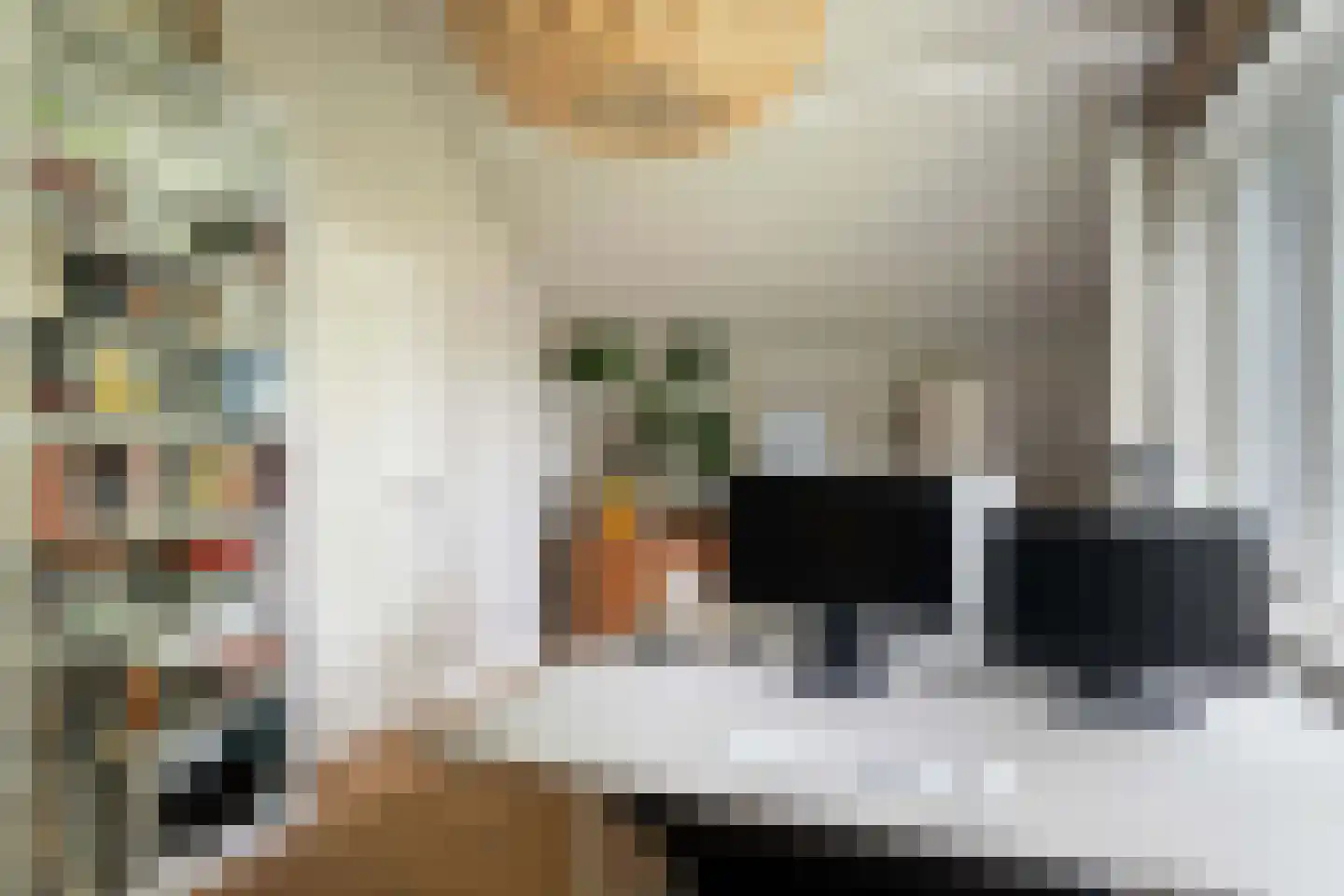Iepenlaan 95 Bilthoven thumbnail 36