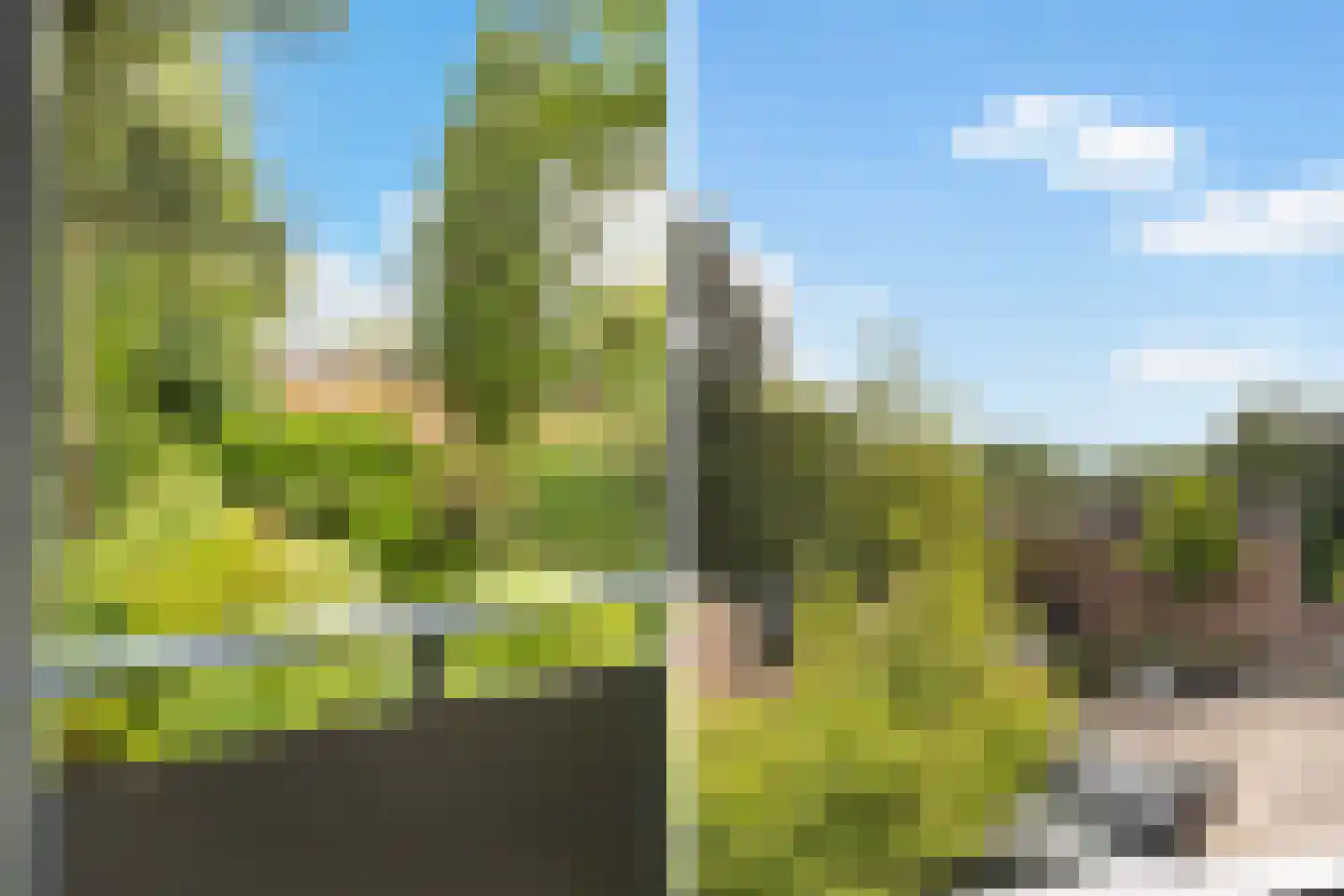 Iepenlaan 95 Bilthoven thumbnail 37