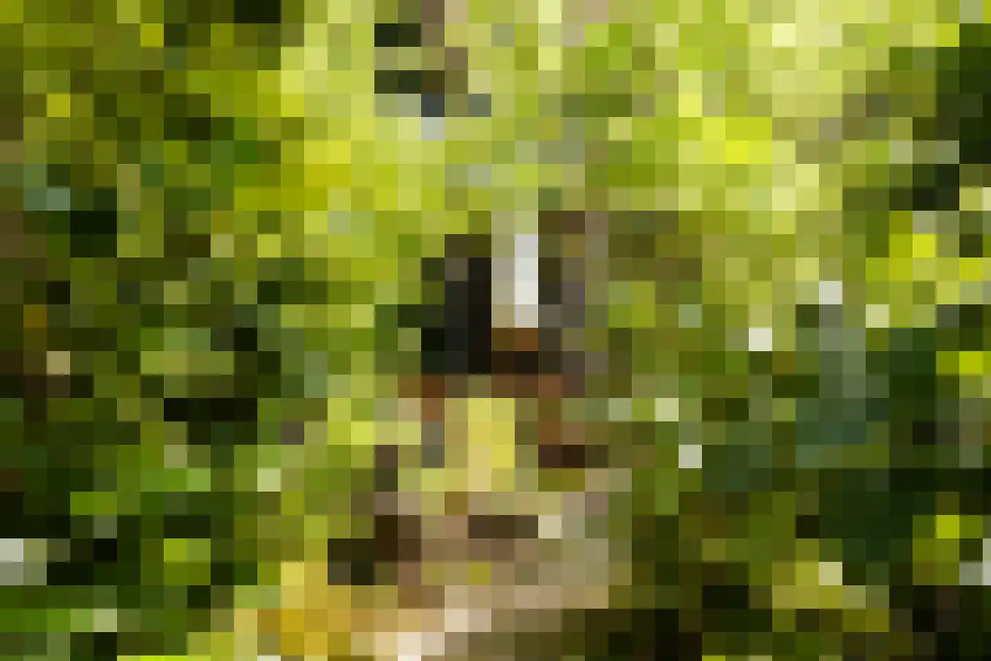 Iepenlaan 95 Bilthoven thumbnail 40
