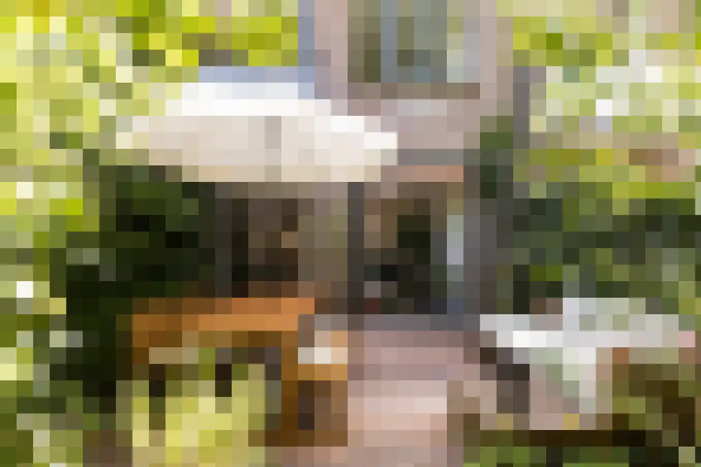 Iepenlaan 95 Bilthoven thumbnail 41