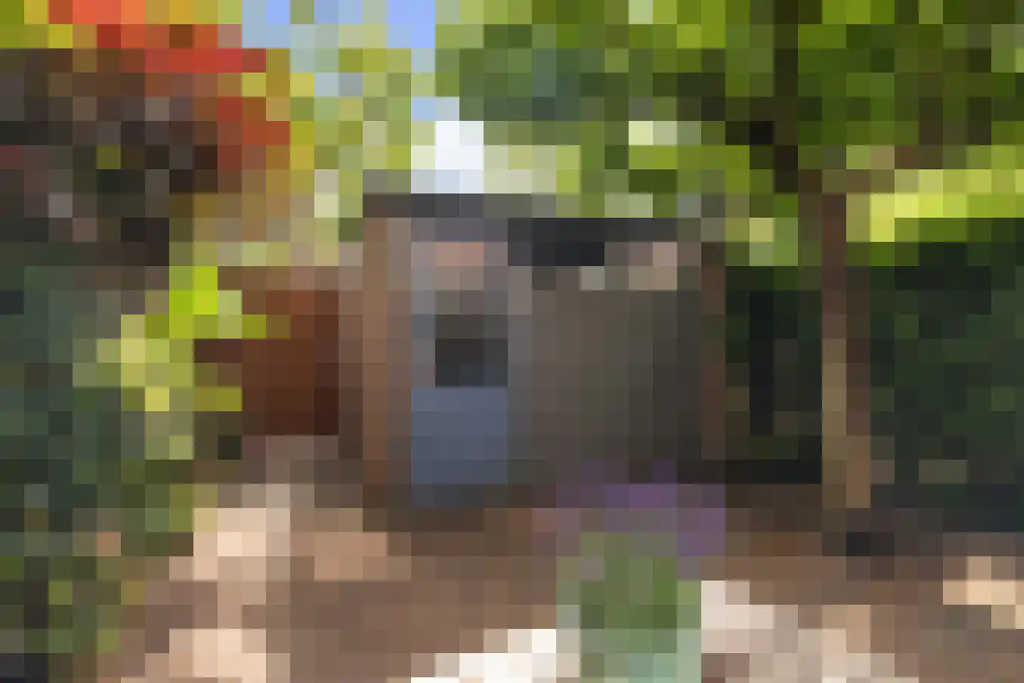 Iepenlaan 95 Bilthoven thumbnail 42