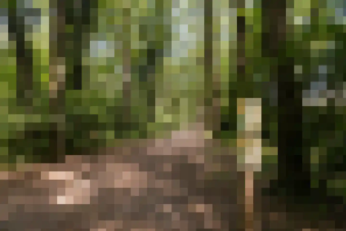 Iepenlaan 95 Bilthoven thumbnail 46