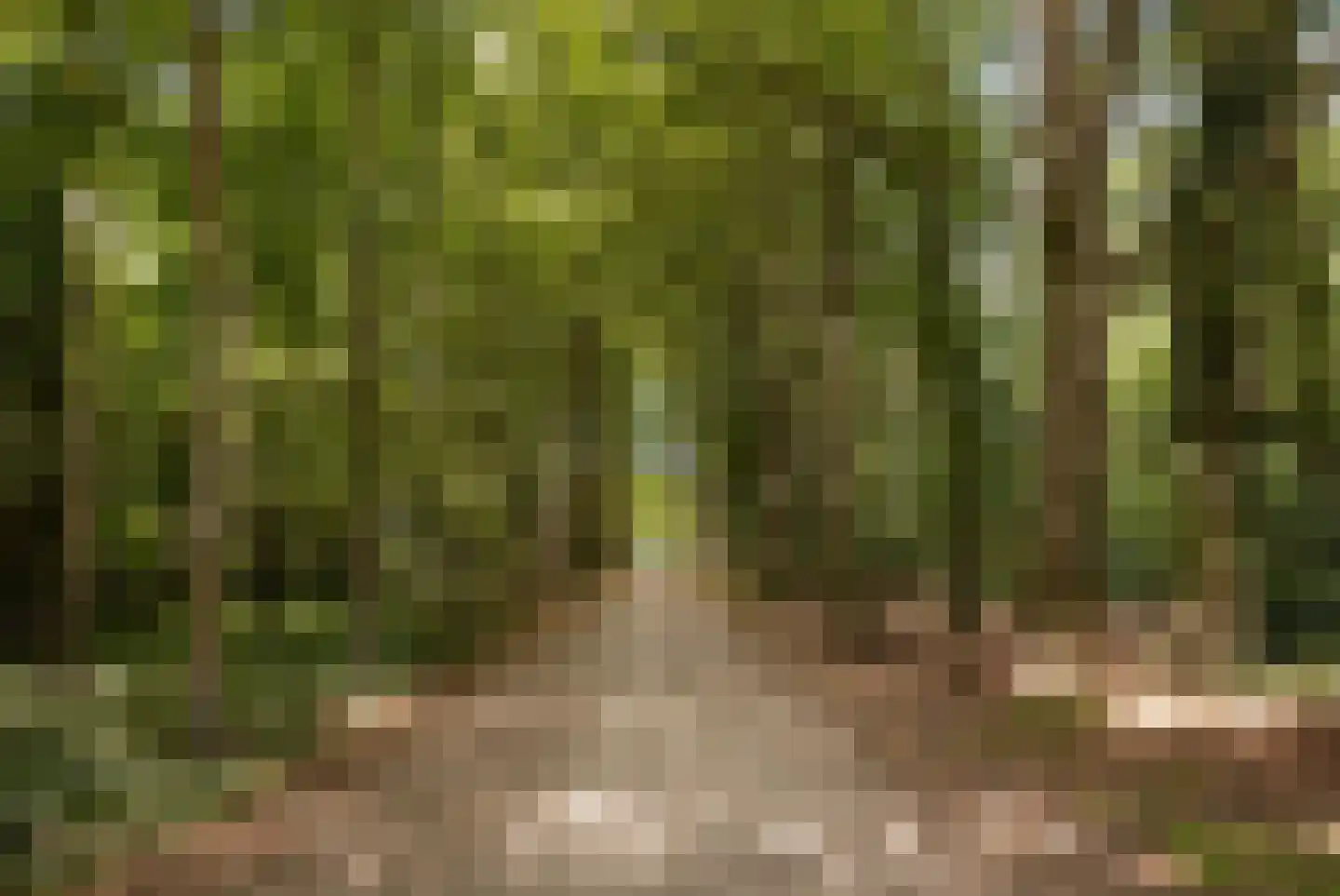 Iepenlaan 95 Bilthoven thumbnail 47