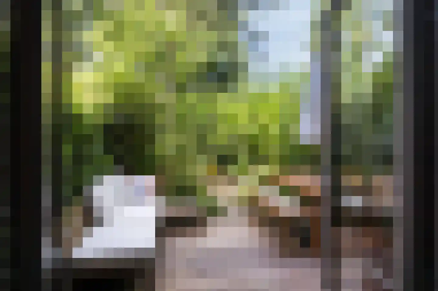 Iepenlaan 95 Bilthoven thumbnail 5