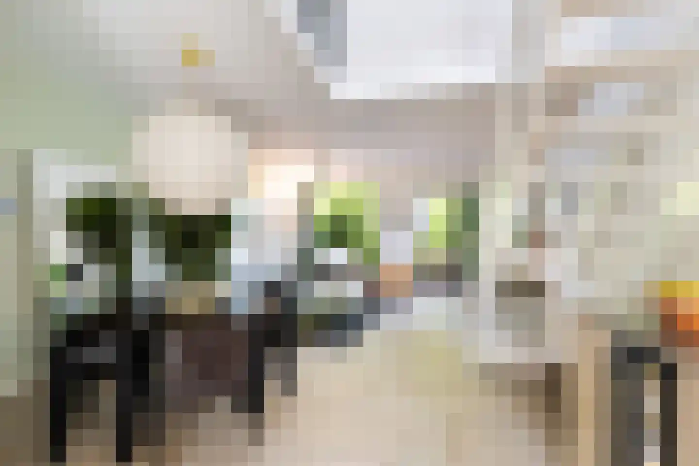 Iepenlaan 95 Bilthoven thumbnail 8