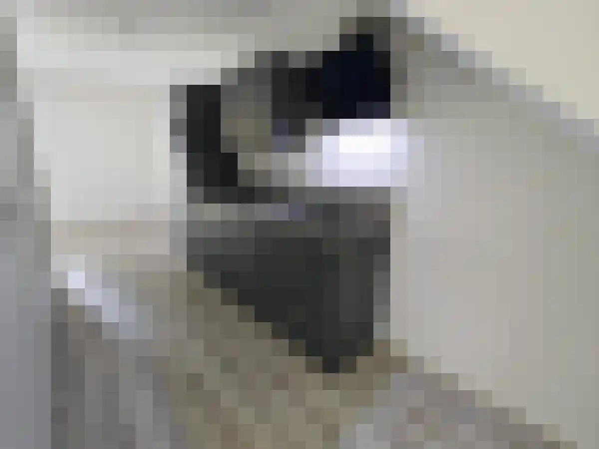 Iepenlaan Eindhoven thumbnail 4