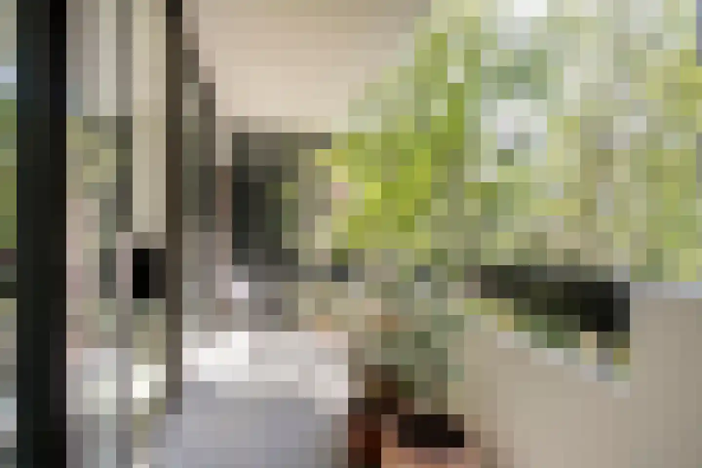 Iepenplein 48 Amsterdam thumbnail 8