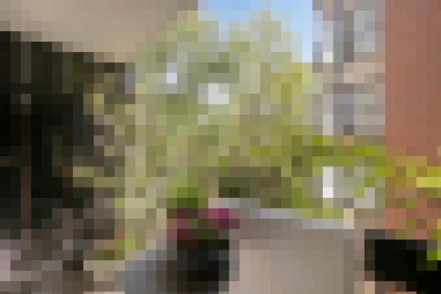 Iepenplein 48 Amsterdam thumbnail 9