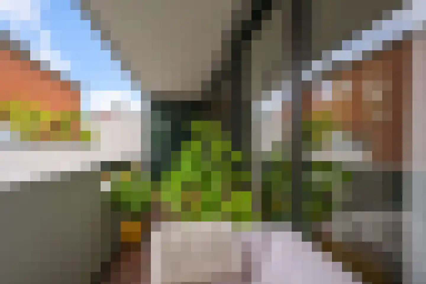 Iepenplein 56 Amsterdam thumbnail 14