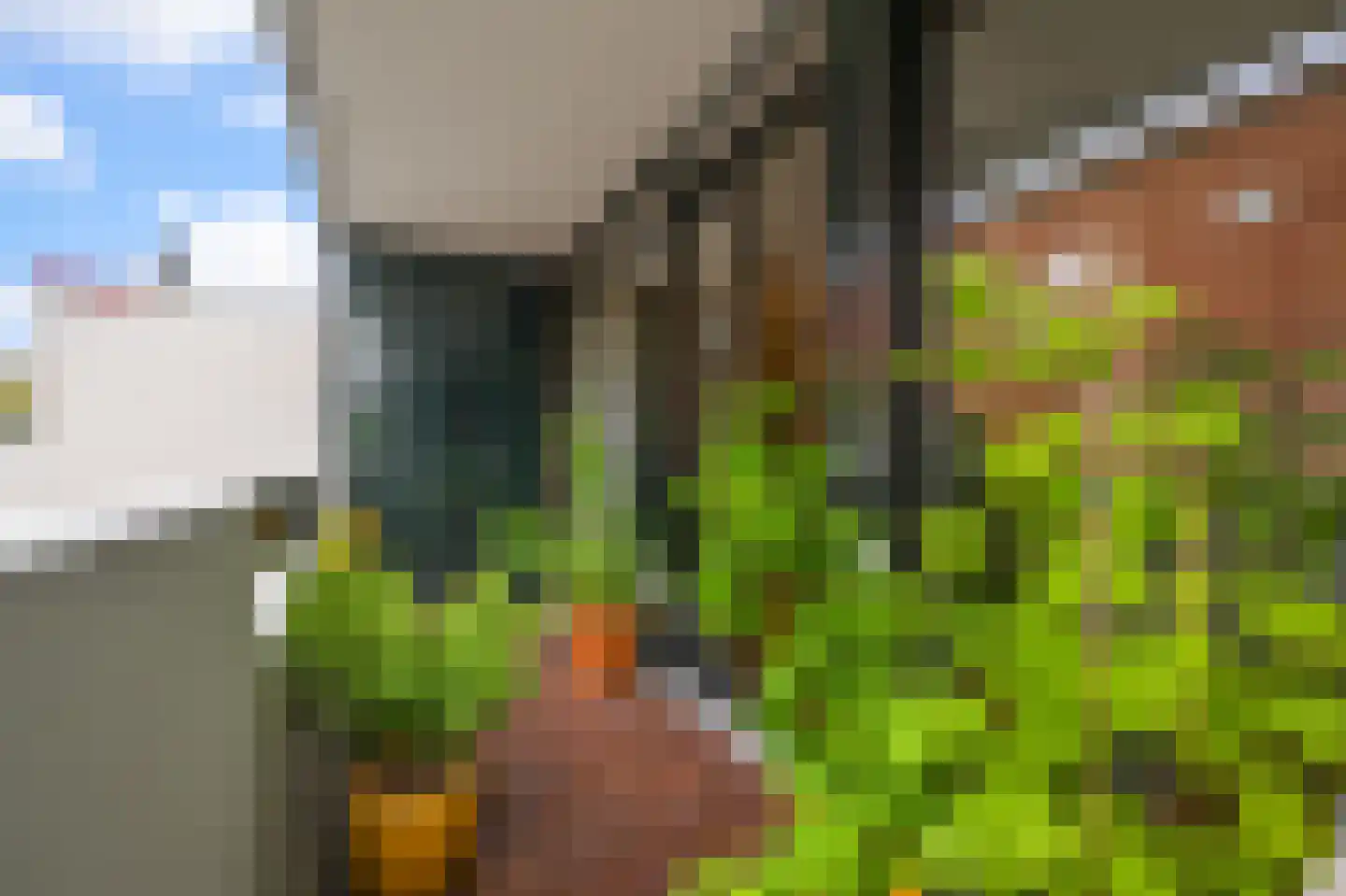 Iepenplein 56 Amsterdam thumbnail 15