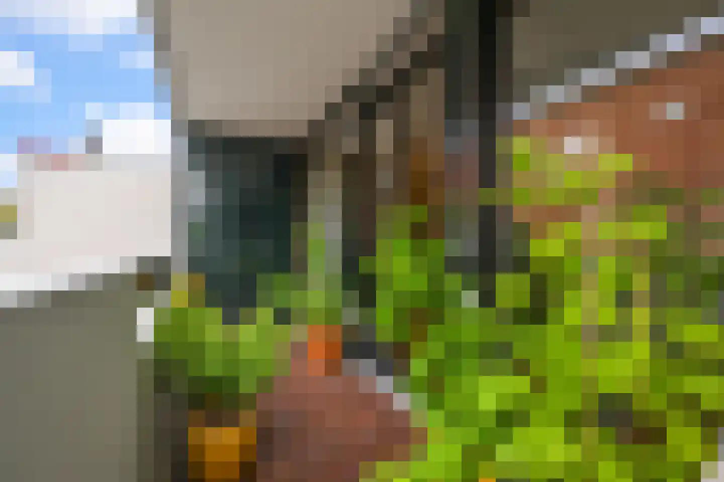 Iepenplein 56 Amsterdam thumbnail 15