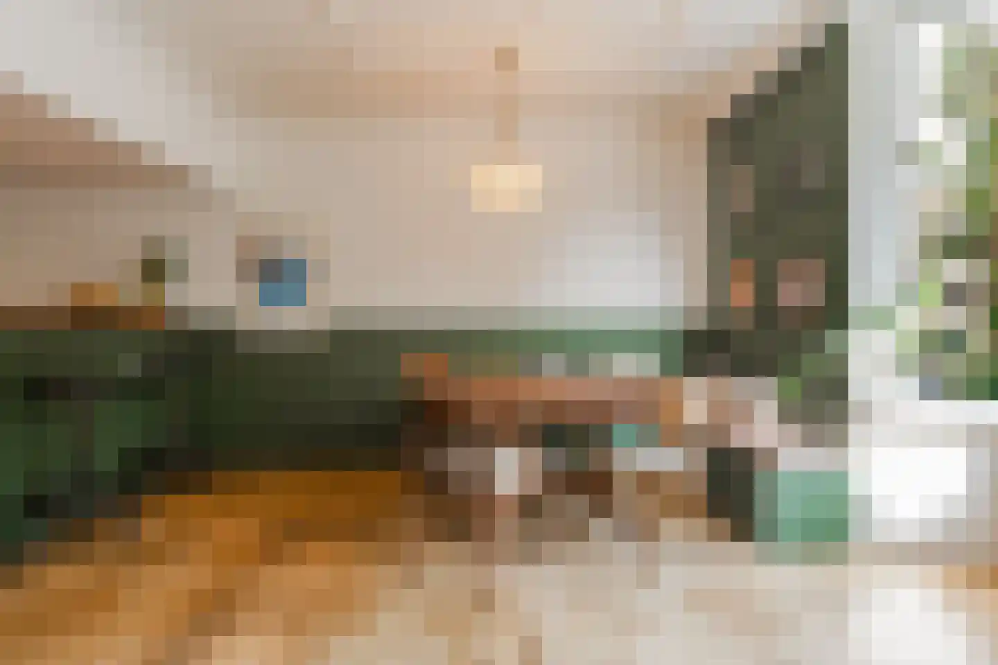Iepenplein 60 Amsterdam thumbnail 10