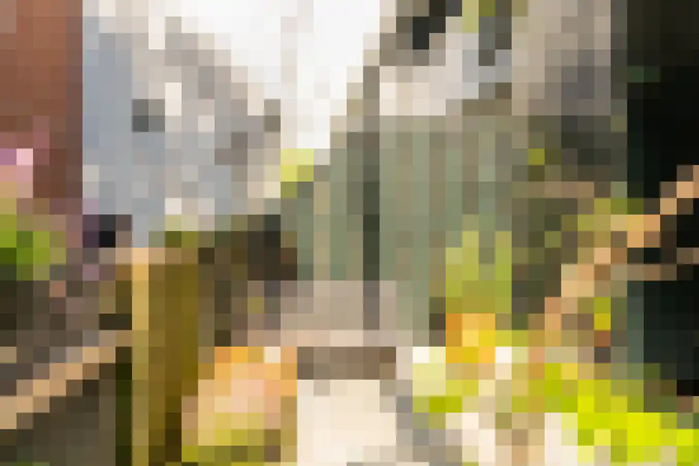 Iepenplein 60 Amsterdam thumbnail 30