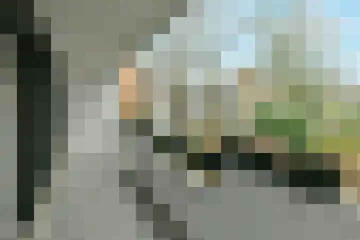 Iepenplein 66 Amsterdam thumbnail 10