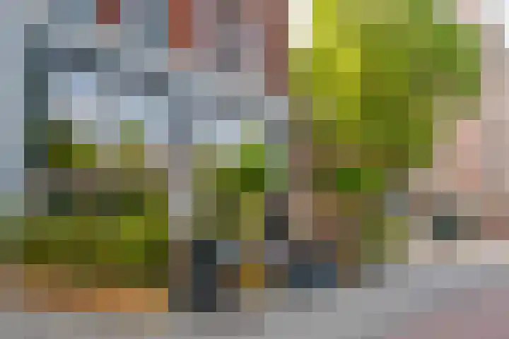 Iepenplein 66 Amsterdam thumbnail 21