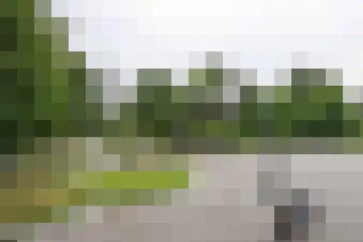 Iepenplein 66 Amsterdam thumbnail 22