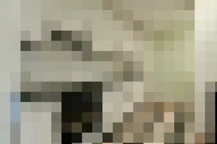 Iepenplein 66 Amsterdam thumbnail 6
