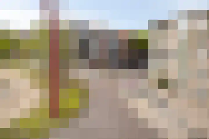 Iepenplein 7 B Amsterdam thumbnail 20